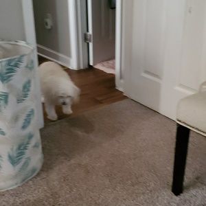 Meet your Posher, Rita